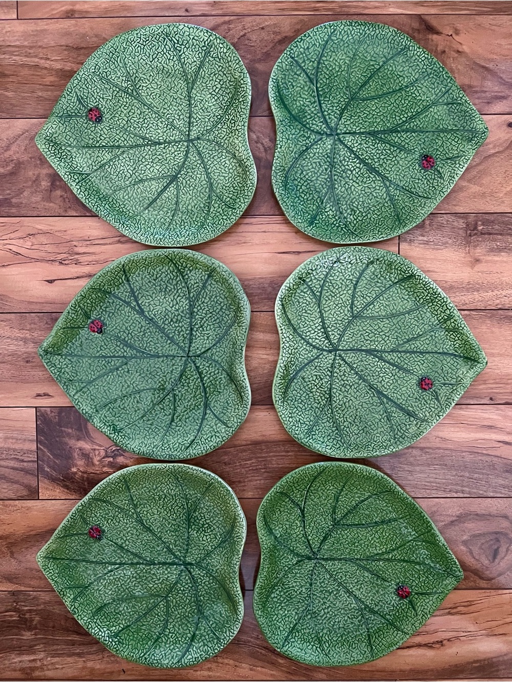 Pier 1 Ladybug Leaf Shaped Platter Set